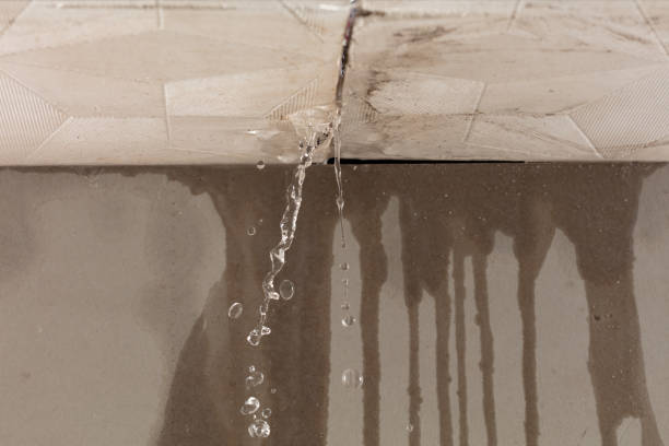 Professional Water Damage Inspection technician working in Georgetown, IL